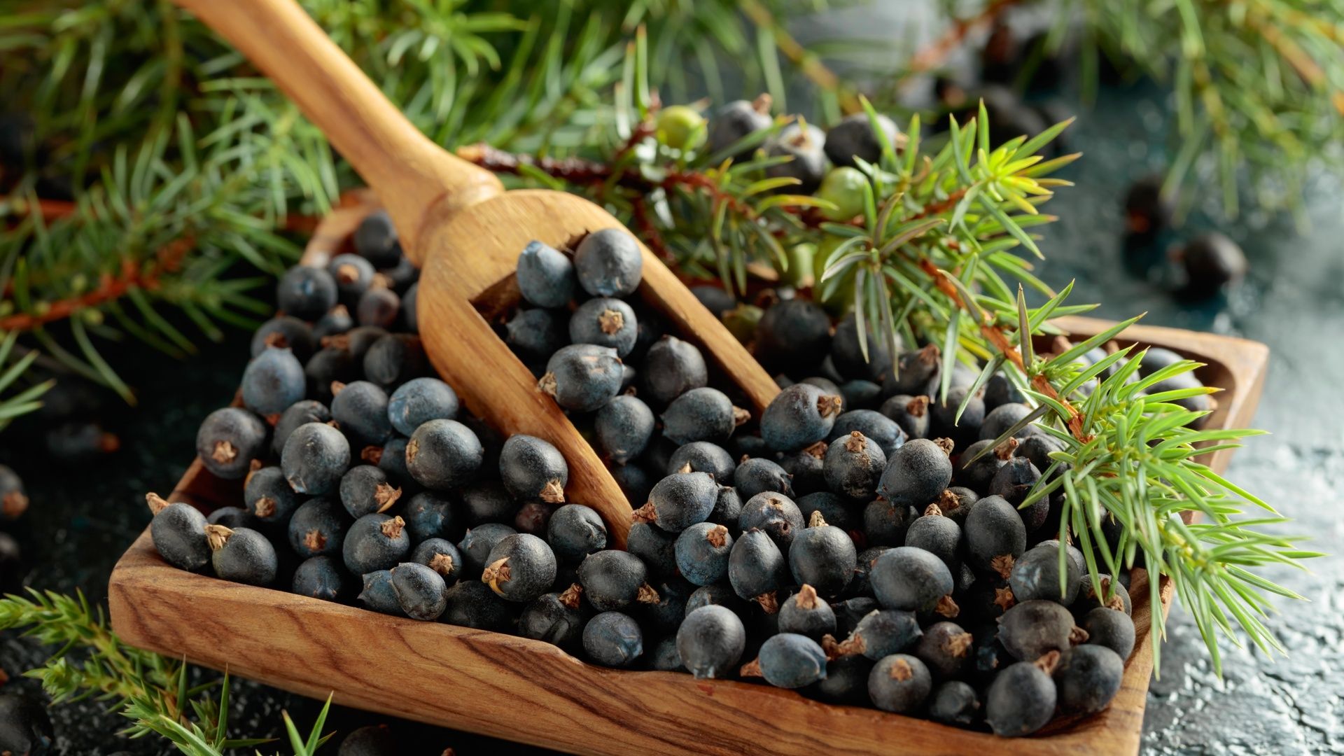 Il profumo del ginepro e le piante del Natale