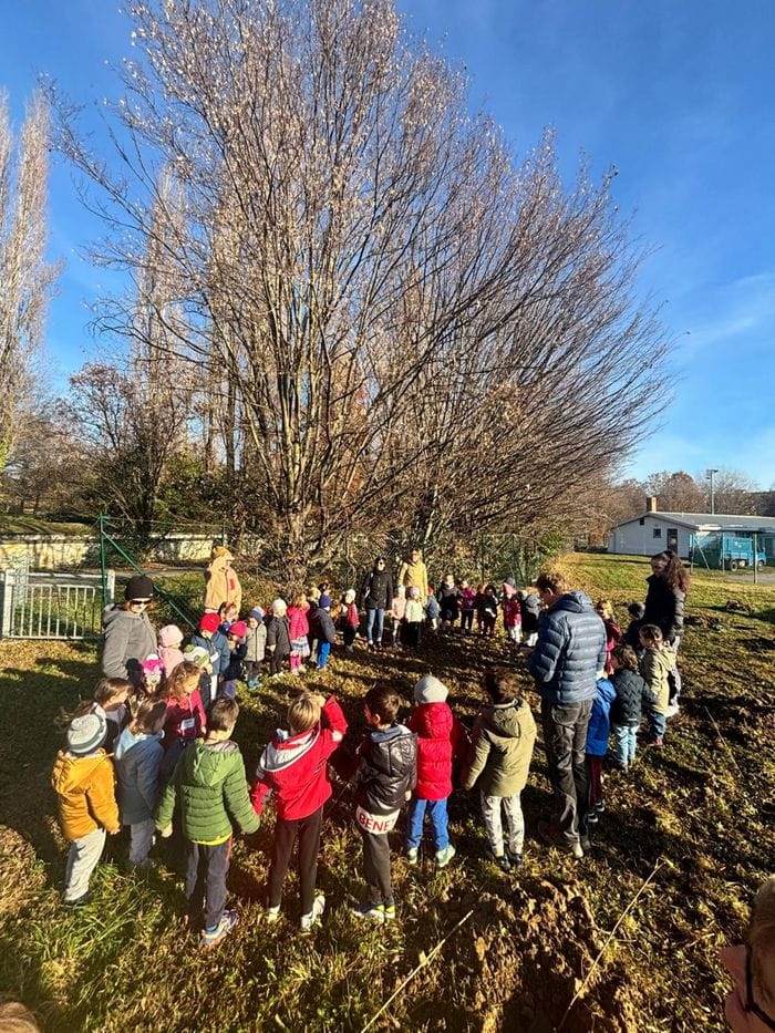 Il bosco della comunità a Loreto bergamo