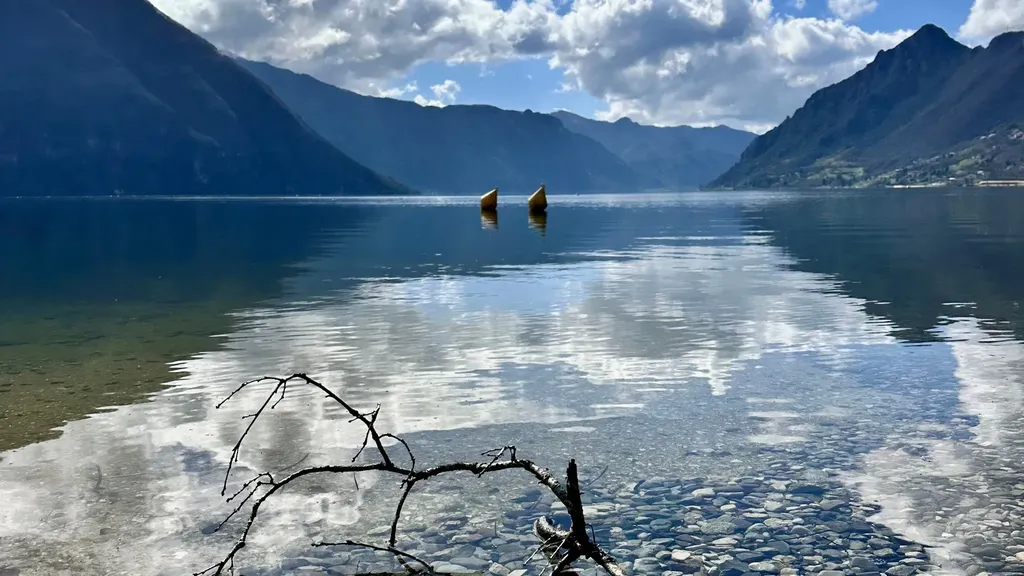 Riflessi e trasparenze