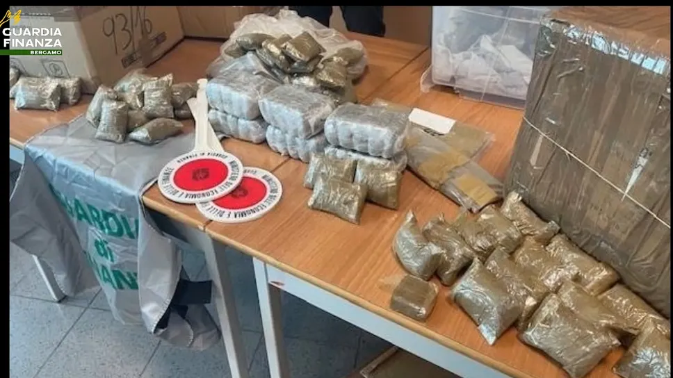 La droga sequestrata alla banda italo-alabanese sgominata dalla Guardia di Finanza di Bergamo La droga sequestrata alla banda italo-alabanese sgominata dalla Guardia di Finanza di Bergamo