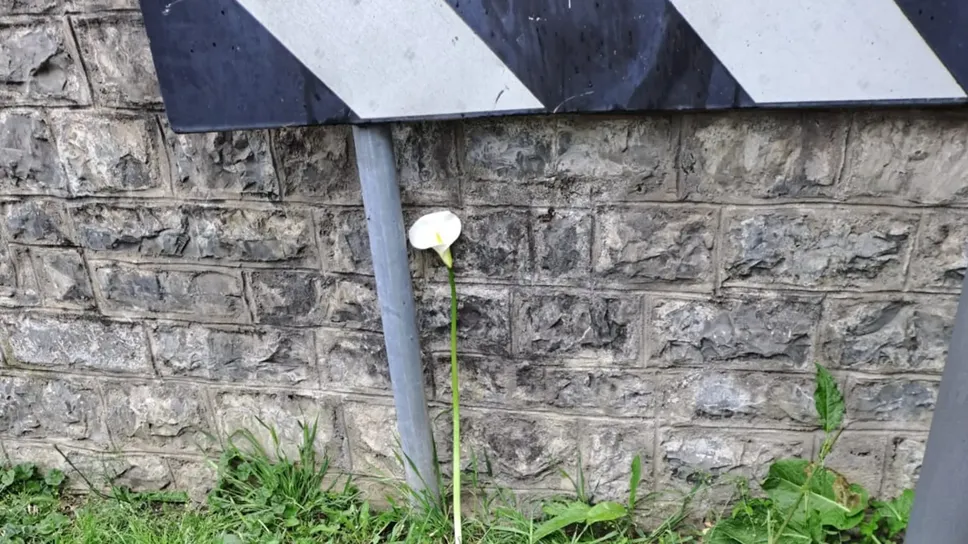 Una calla sul luogo dell’incidente mortale di Berbenno, dove un ciclista di 31 anni è deceduto alle 10.30 di domenica 4 maggio Una calla sul luogo dell’incidente mortale di Berbenno, dove un ciclista di 31 anni è deceduto alle 10.30 di domenica 4 maggio