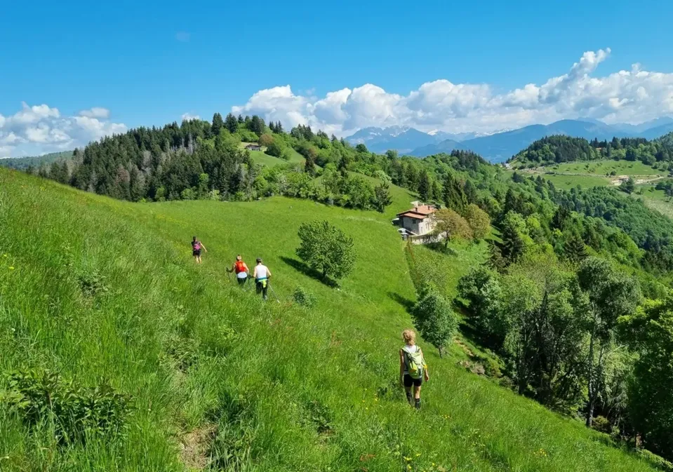 Verso il Col Trai