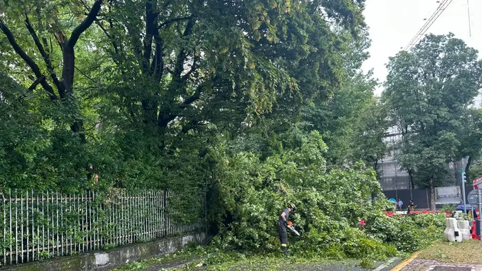 https://storage.ecodibergamo.it/media/photologue/2025/7/13/photos/cache/ancora-un-temporale-a-bergamo-in-via-suardi-cade-un-albero-su-unauto-foto_95153f32-5ffb-11f0-a1b7-c247a694fd41_1920_1080_v3_large_16_9.webp