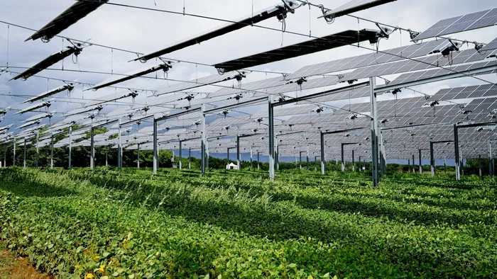 https://storage.ecodibergamo.it/media/photologue/2025/7/14/photos/cache/i-benefici-economici-ed-ecologici-dellagrivoltaico_b67c4714-6083-11f0-83bc-1f81b73d2d8d_1920_1080_v3_large_16_9.webp