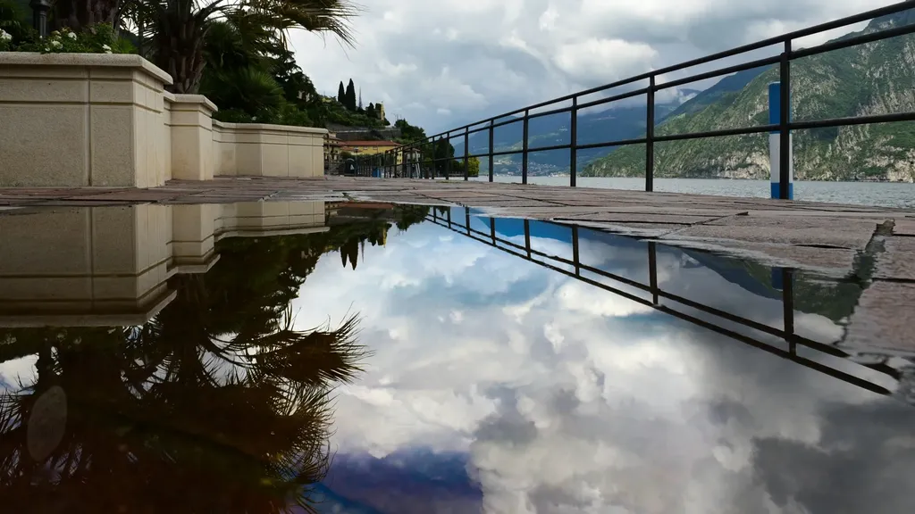 Riflessi