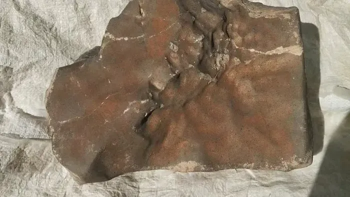 https://storage.ecodibergamo.it/media/photologue/2025/7/17/photos/cache/il-piu-grande-meteorite-marziano-venduto-a-53-milioni-dollari_93c029d2-62fb-11f0-befd-40cde2f7fc5b_v3_large_16_9.webp