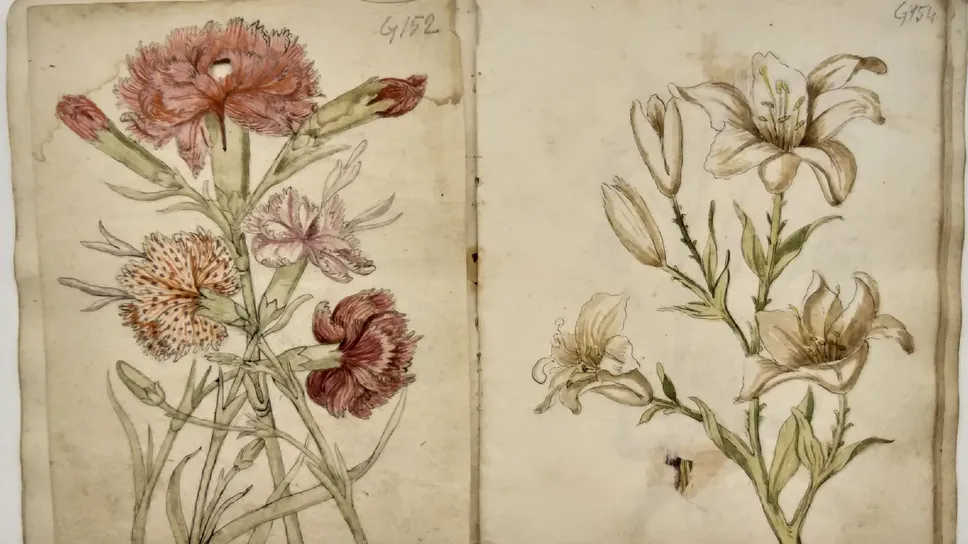 I disegni dal taccuino di Giovan Bettino Fantoni