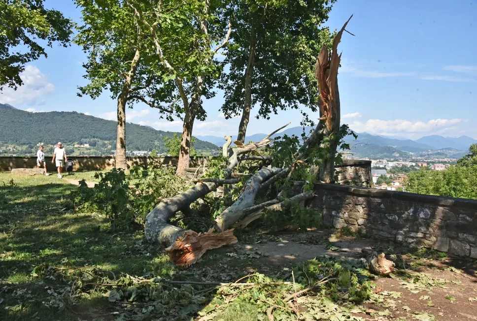 Alberi caduti alla montagnetta di Città Alta per il maltempo del 7 luglio