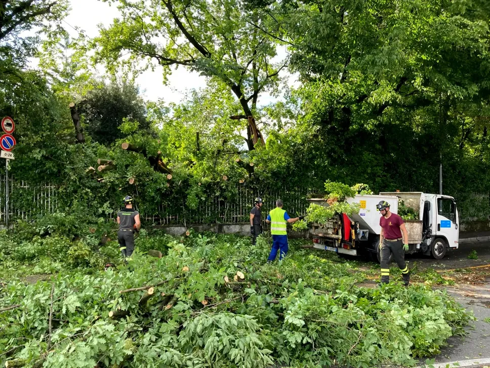 Vigili del fuoco al lavoro in via San Giovanni per rimozione albero caduto dal parco Suardi