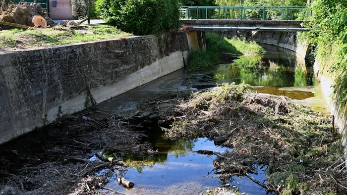 Alberi caduti, rimosse 50 tonnellate dalle rogge. A Bergamo riaprono altri tre parchi Alberi caduti, rimosse 50 tonnellate dalle rogge. A Bergamo riaprono altri tre parchi