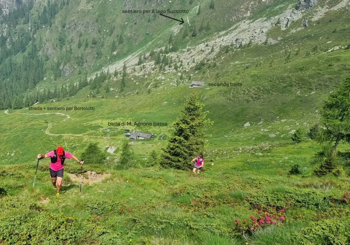 Dalla baita bassa di Monte Agnone verso il Monte Segnale