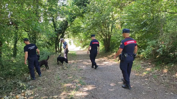 Maresana, bonifica dei carabinieri cinofili dopo l’avvelenamento di un cane Maresana, bonifica dei carabinieri cinofili dopo l’avvelenamento di un cane