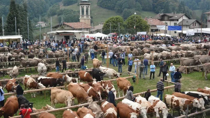 La zootecnia di valle si rimette in mostra: «Valore da tutelare» La zootecnia di valle si rimette in mostra: «Valore da tutelare»