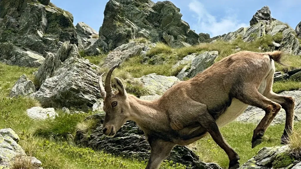 Piacevoli incontri