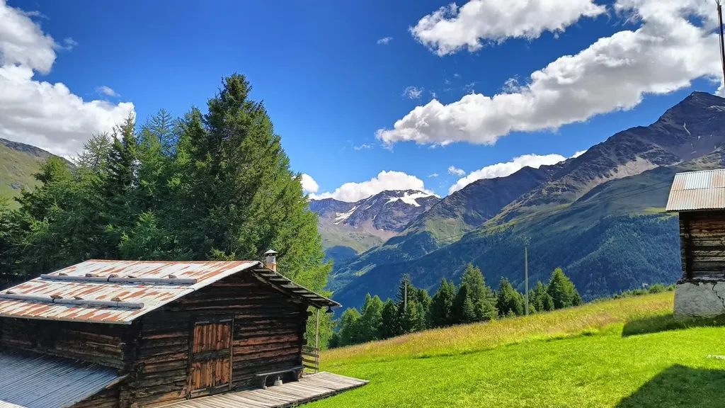 Cartolina