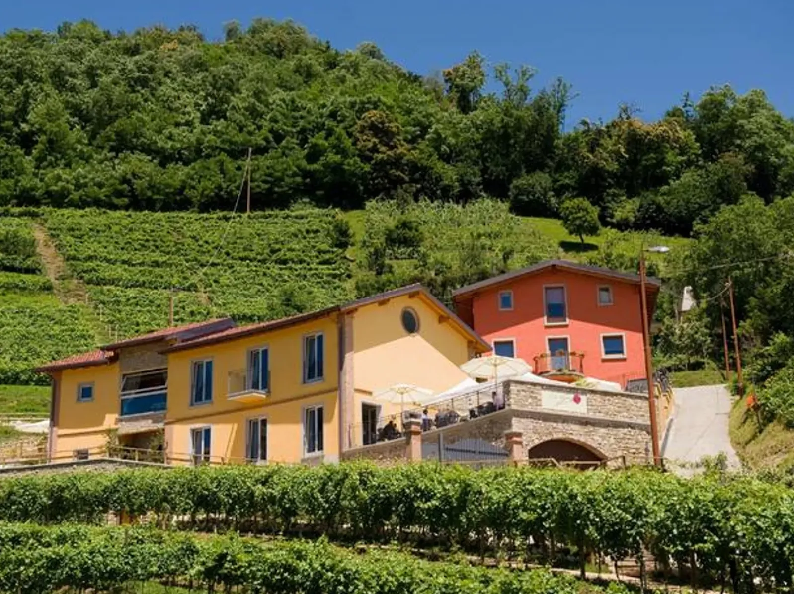 Tenuta Casa Virginia