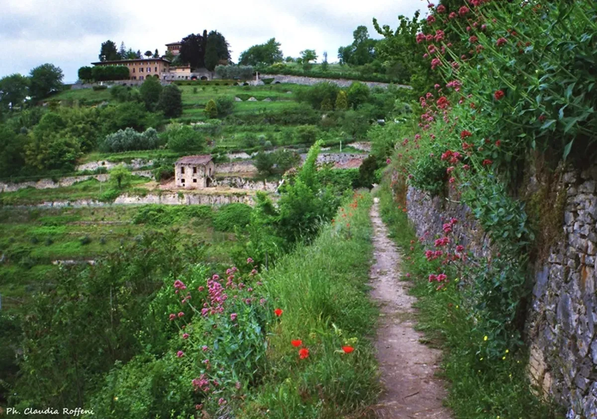 Scorci di biodiversità tra le mura