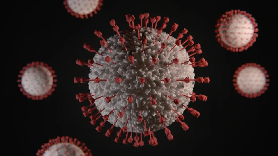 Il virus del Covid-19