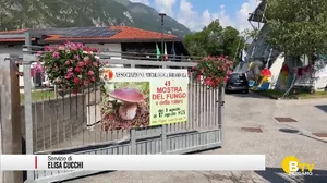 Villa D'Ogna, la 49° edizione della mostra del fungo e della natura
