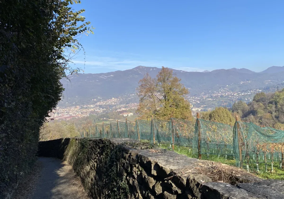Il Parco dei Colli nei pressi del Sentiero dei Vasi