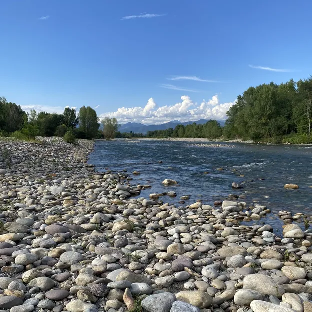 Il fiume Brembo