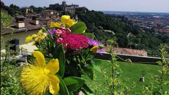 buon ferragosto dalla redazione aggiornamenti online in edicola domenica