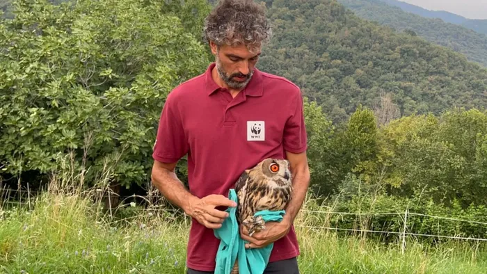 https://storage.ecodibergamo.it/media/photologue/2025/8/16/photos/cache/fauna-selvatica-soccorsi-quasi-raddoppiati-al-cras-di-cenate-sopra_1f46e5f2-7a96-11f0-9872-4de129e439ff_1920_1080_v3_large_16_9.webp