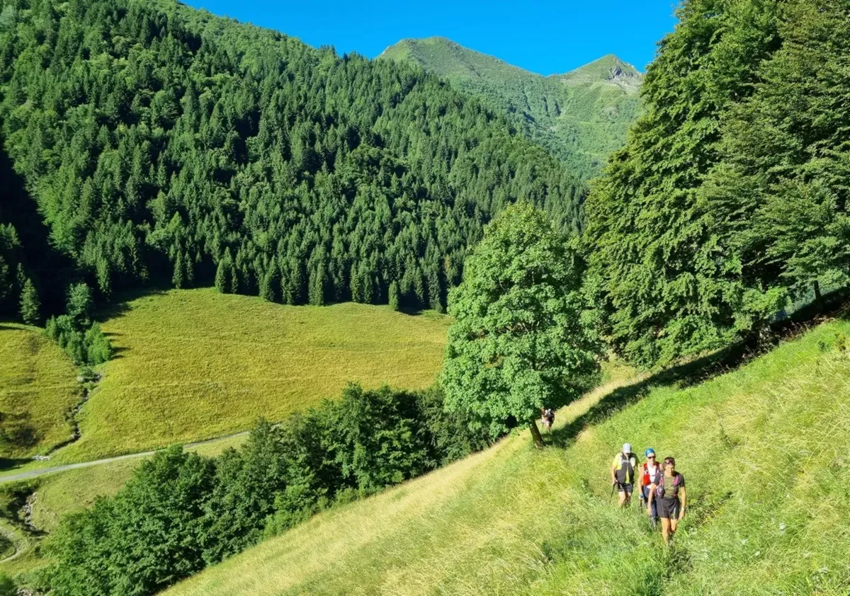 I prati delle Stalle di Tüf