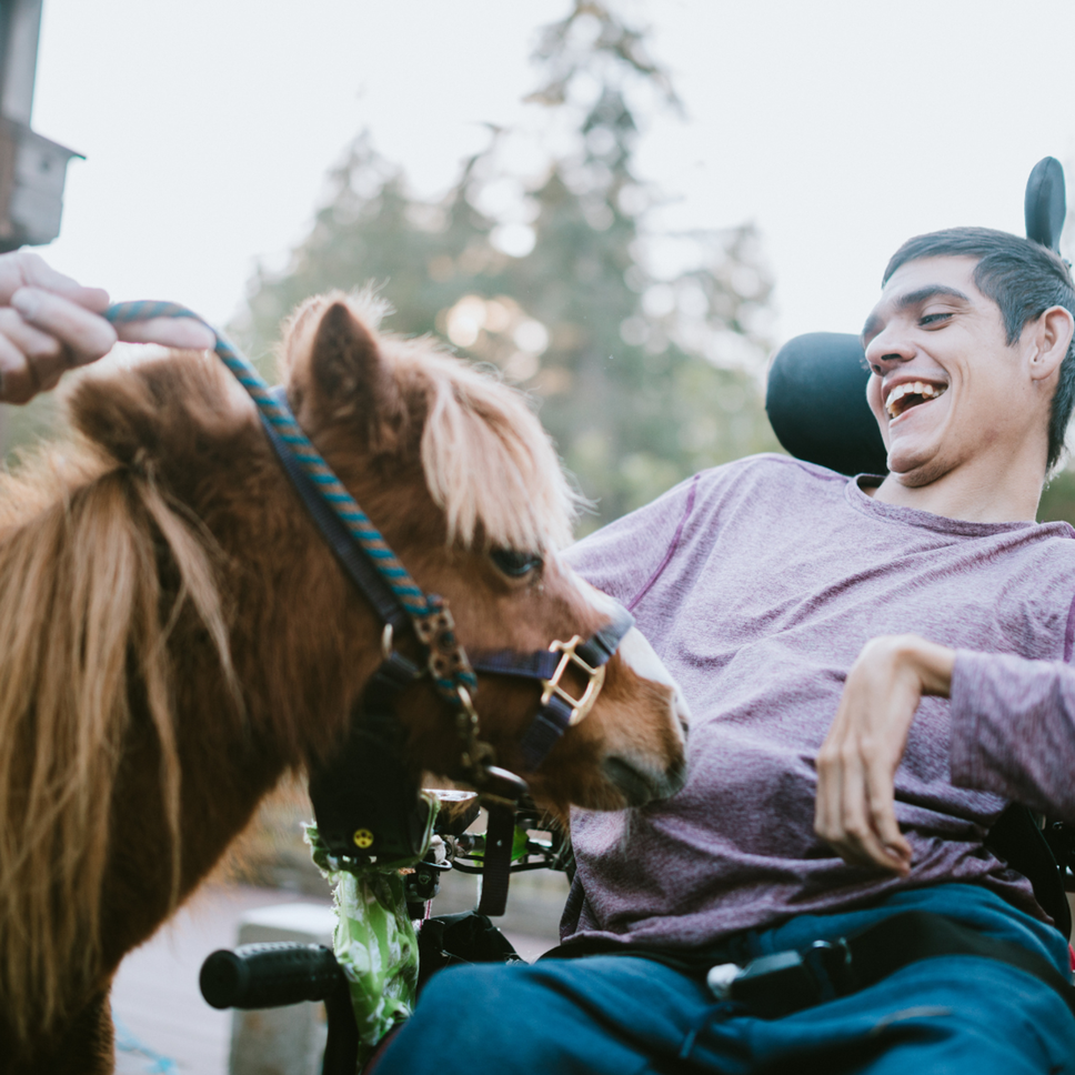 Il cavallo e la pet therapy