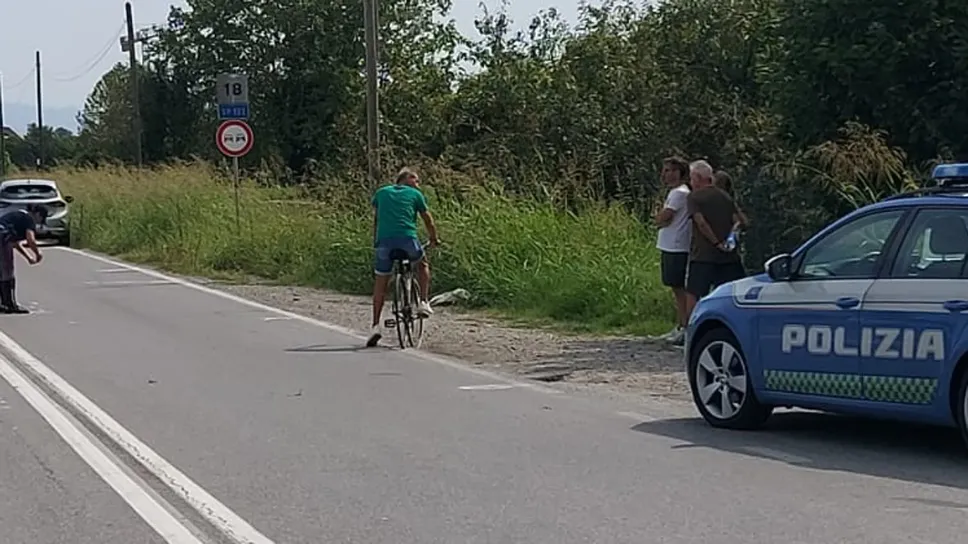La strada dove si è verificato l’investimento mortale, sul posto la Polstrada di Bergamo La strada dove si è verificato l’investimento mortale, sul posto la Polstrada di Bergamo