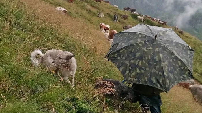 https://storage.ecodibergamo.it/media/photologue/2025/8/2/photos/cache/pioggia-e-temporali-in-bergamasca-il-doppio-della-media-luglio-con-minime-autu_e035d2da-6f17-11f0-84d1-1a4cf007d5b9_1920_1080_v3_large_16_9.webp