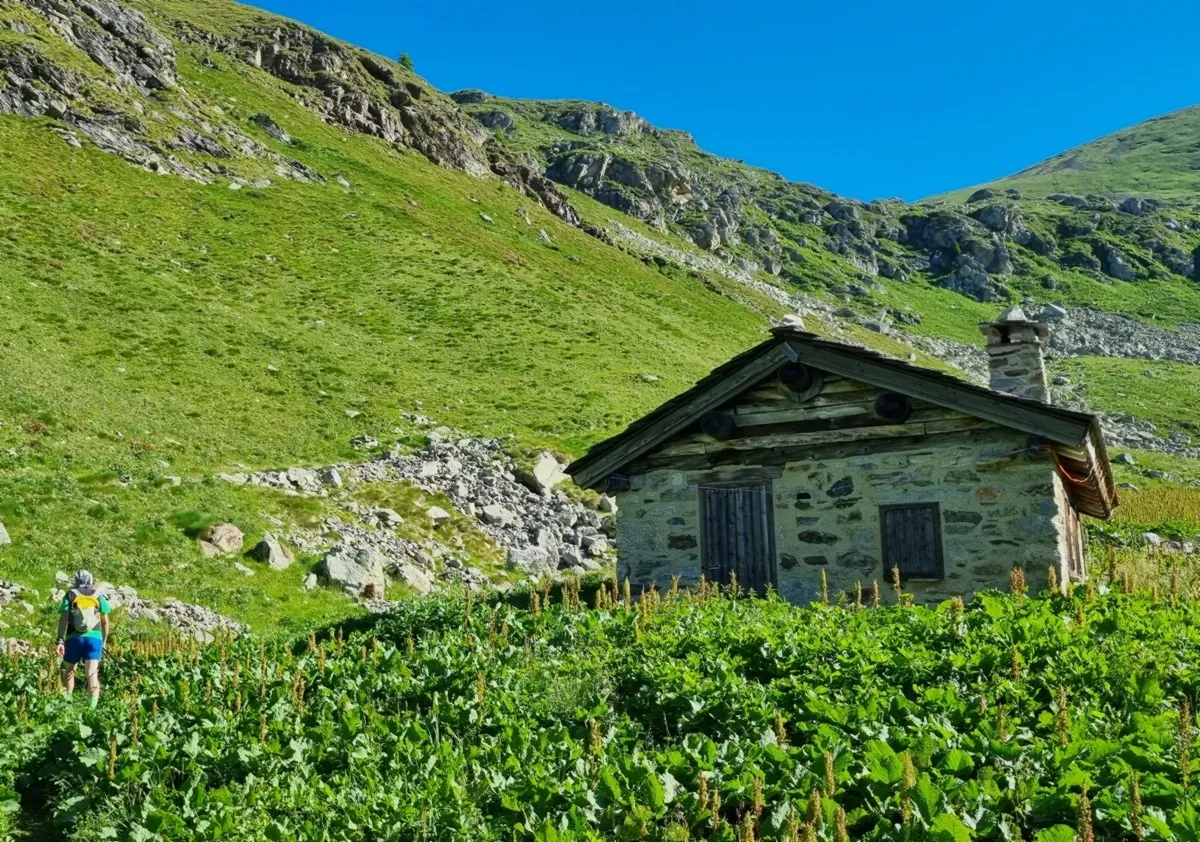 La baita Lago in Val Sambuzza
