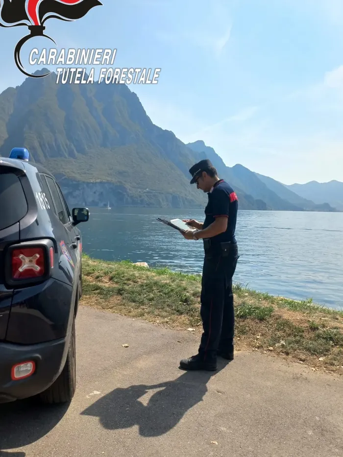 Carabinieri forestali in azione