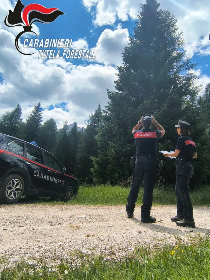 Controlli dei carabinieri forestali