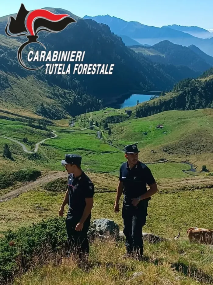 Boschi e vallate ispezionate