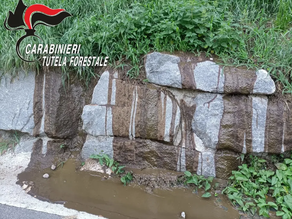 A Vedeseta liquami zootecnici sulla strada