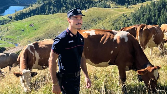https://storage.ecodibergamo.it/media/photologue/2025/8/20/photos/cache/cavalli-denutriti-rifiuti-abbandonati-e-controlli-nei-boschi-i-carabinieri-for_ec823602-7dd4-11f0-baa2-a55527e0b8d4_1920_1080_v3_large_16_9.png