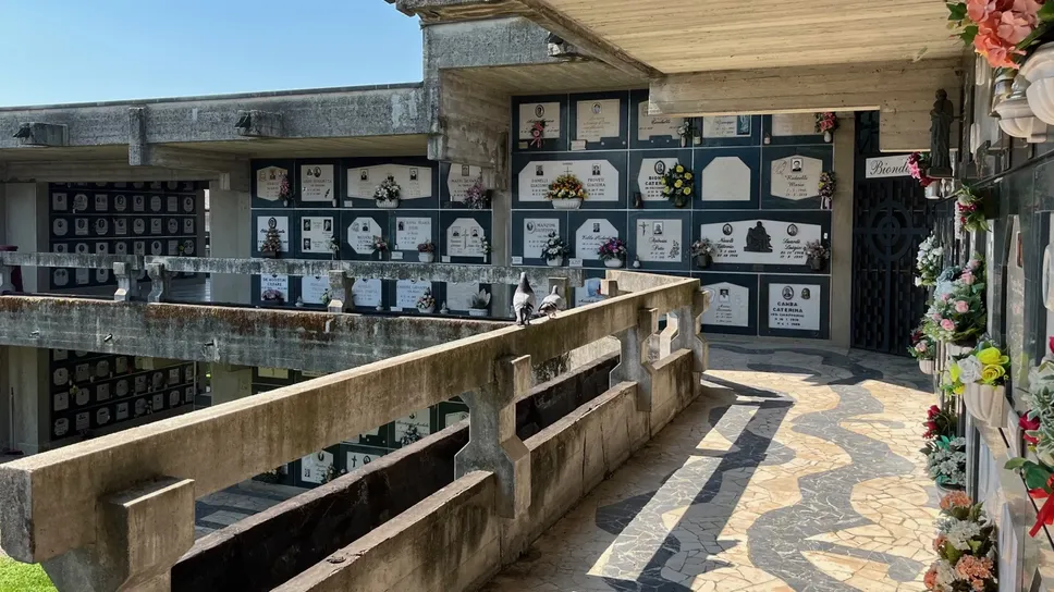 Il cimitero di Romano di Lombardia è finito nel mirino dei piccioni