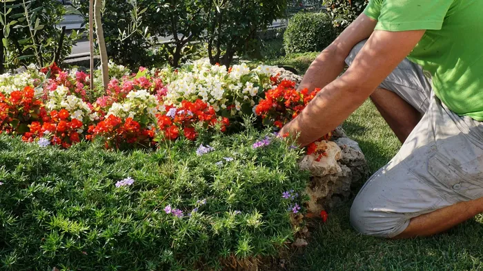 https://storage.ecodibergamo.it/media/photologue/2025/8/27/photos/cache/dal-giardiniere-al-carpentiere-sono-150-le-offerte-di-lavoro-nei-centri-per-li_49d05f56-833d-11f0-b40e-3446cd30f115_1920_1080_v3_large_16_9.webp