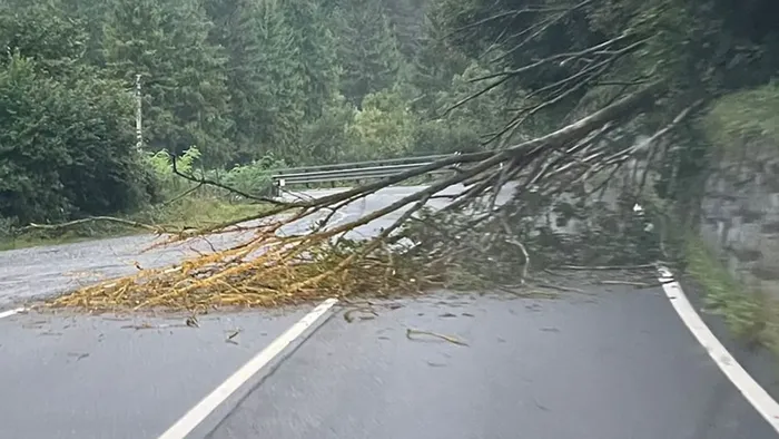bergamo oggi forte ondata di maltempo a rovetta caduto un albero