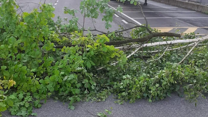 https://storage.ecodibergamo.it/media/photologue/2025/8/29/photos/cache/maltempo-albero-cade-su-un-cavo-frazioni-al-buio-per-alcune-ore_20754b70-849c-11f0-b40e-3446cd30f115_1920_1080_v3_large_16_9.webp