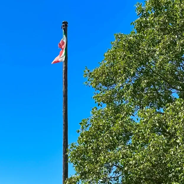 L’albero della Libertà a Baresi