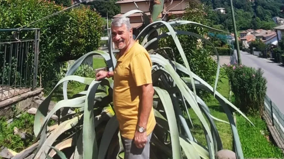 Bettinelli con la sua agave Bettinelli con la sua agave