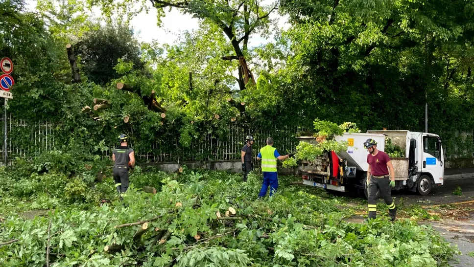 Gli interventi al parco Suardi dopo l’ondata di maltempo del 7 luglio scorso Gli interventi al parco Suardi dopo l’ondata di maltempo del 7 luglio scorso