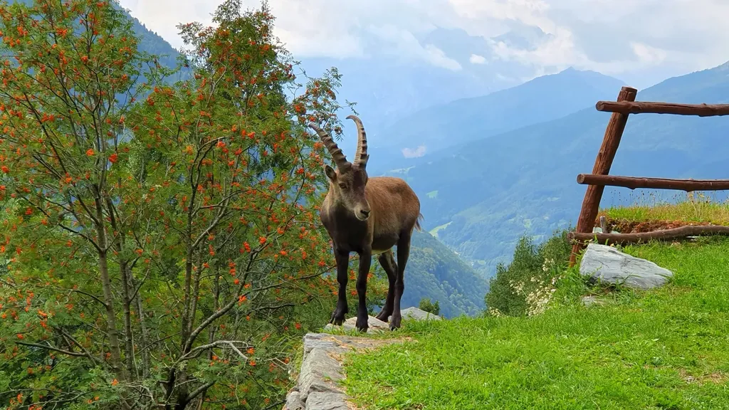 In cerca di salnitrio