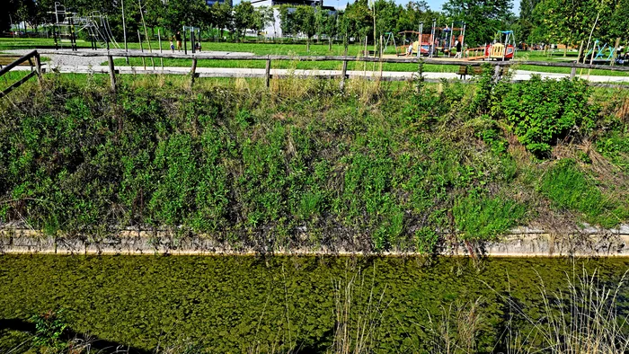 parco della trucca laghetti pieni di alghe e cattivi odori nelle ore calde