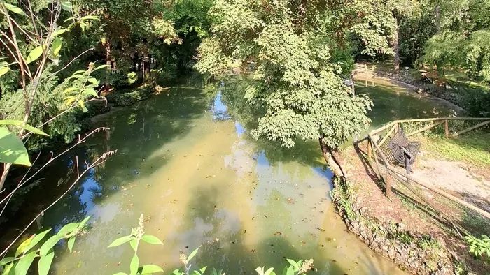 ha riaperto il parco marenzi si lavora ancora sul laghetto in autunno forest bathing foto