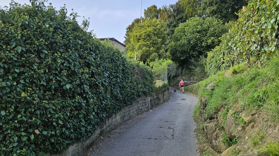 La località Volpera