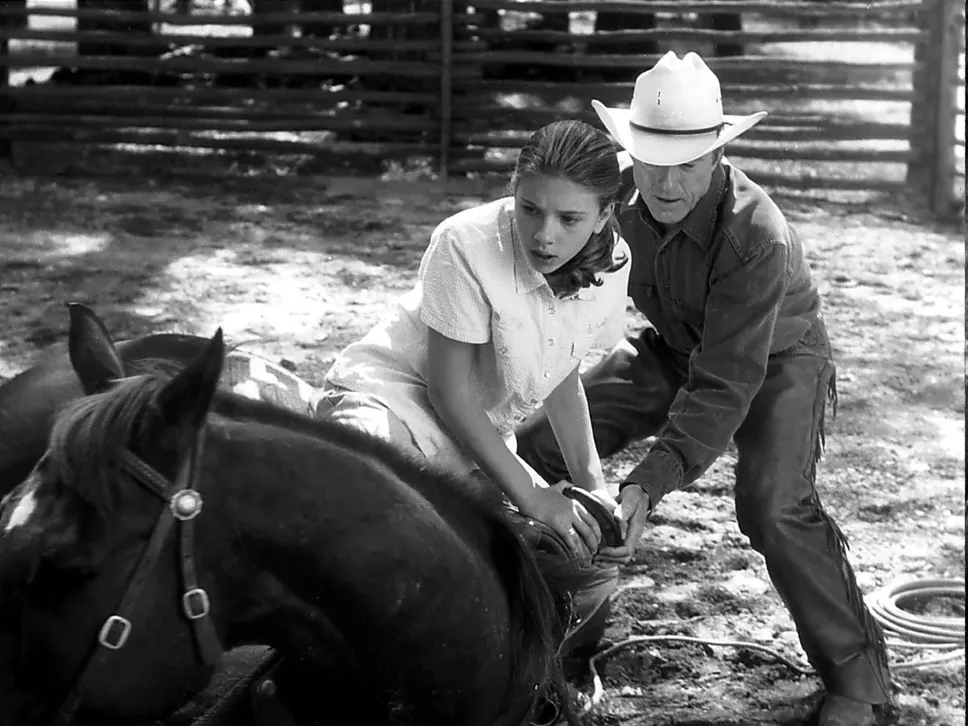 Nel film «The Horse Whisperer«