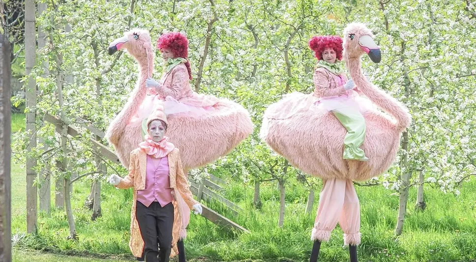 Teatro per caso - Flamingos: tra gli ospiti della Festa di Borgo Palazzo di domenica 21 settembre